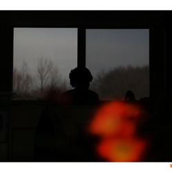dailyPhoto8
